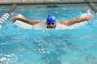 Swimming vs Bentley  Wheaton College Swimming vs Bentley. - Photo By: KEITH NORDSTROM : Wheaton, Swimming, Bentley